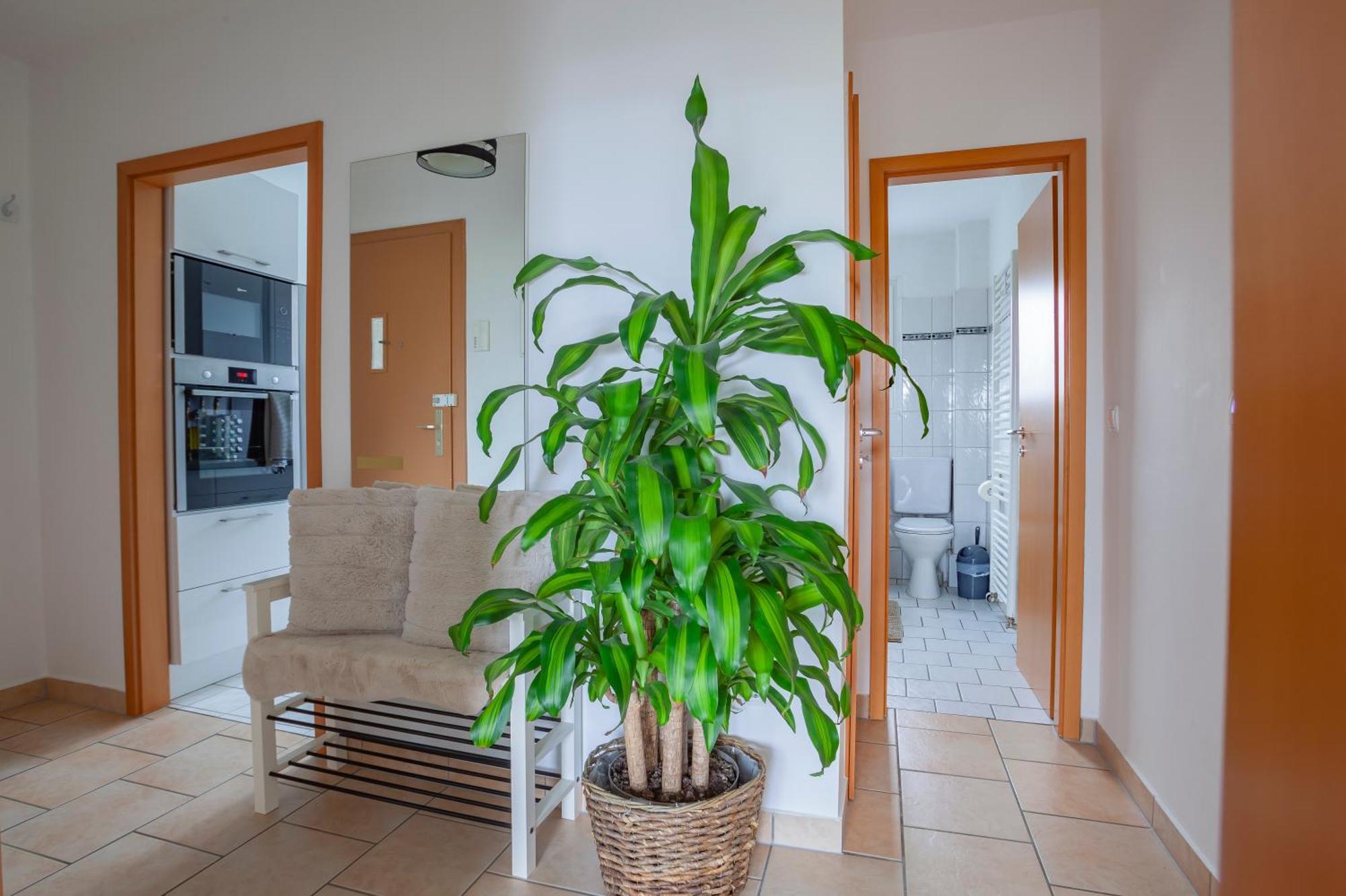Exclusive 2-Room-City-Apartment - Contactless Check-In Hanover Exterior photo